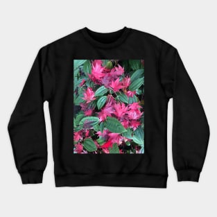 Red and Green Joyous Christmas of the Forest Floor Crewneck Sweatshirt